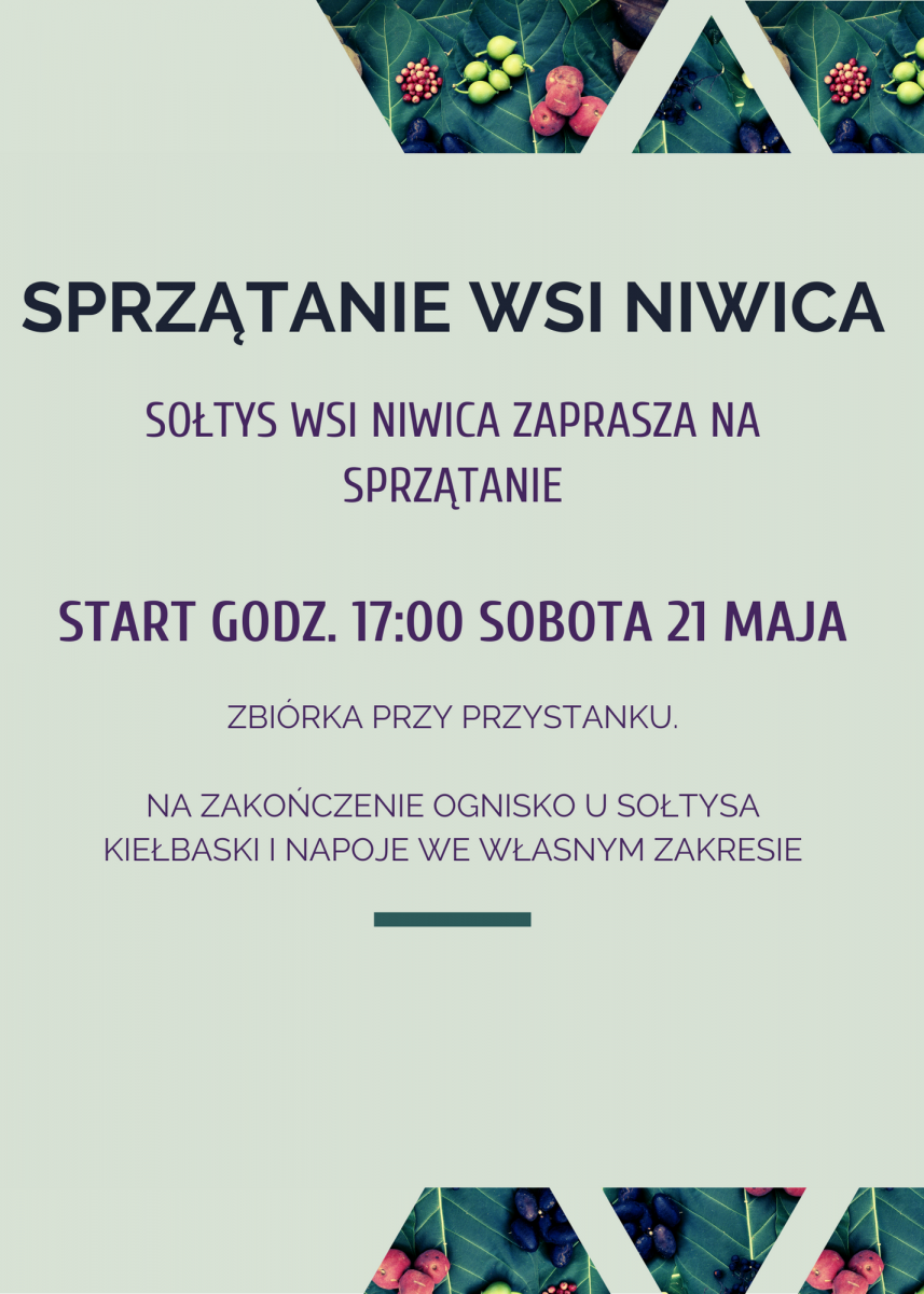 Sprzątanie wsi Niwica