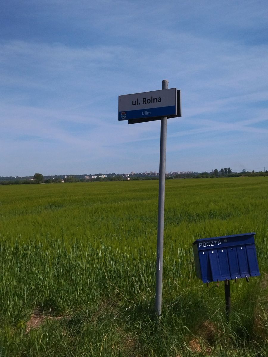 budowa wodociagów