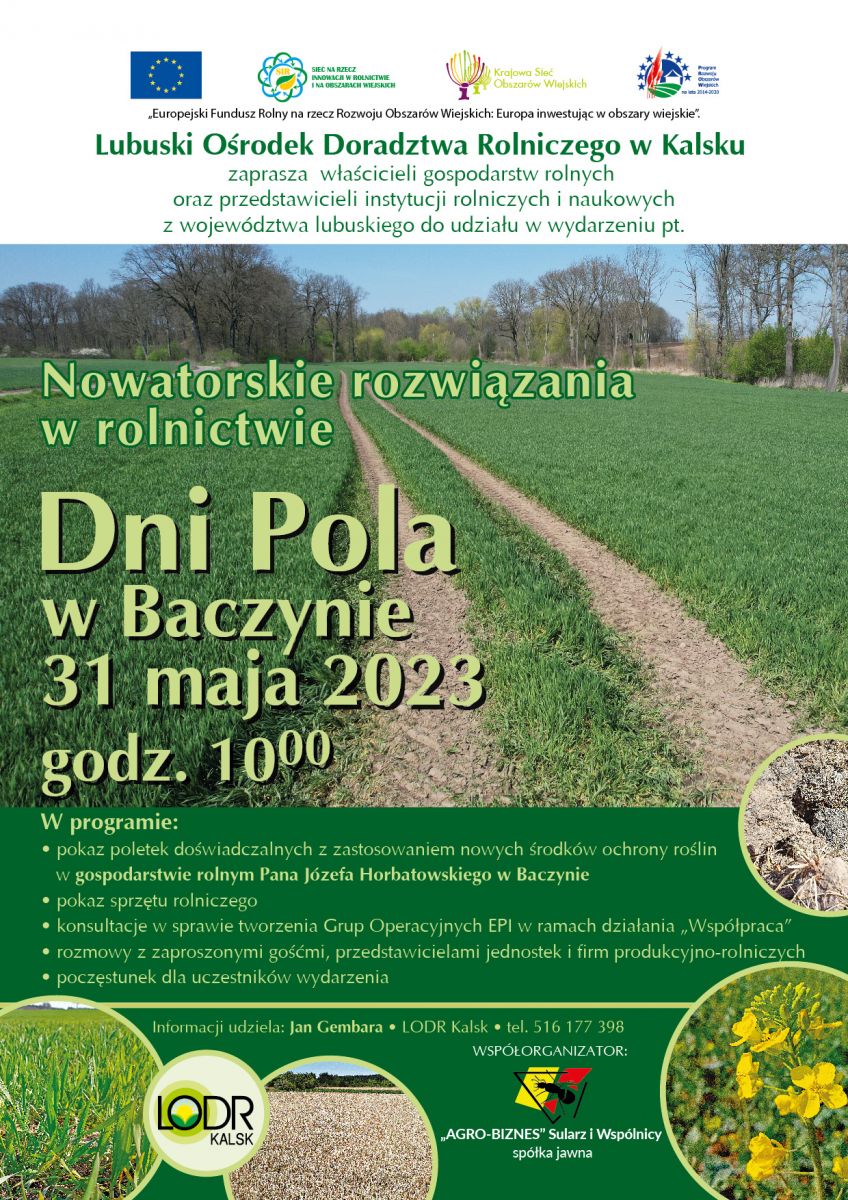 dni pola baczyna