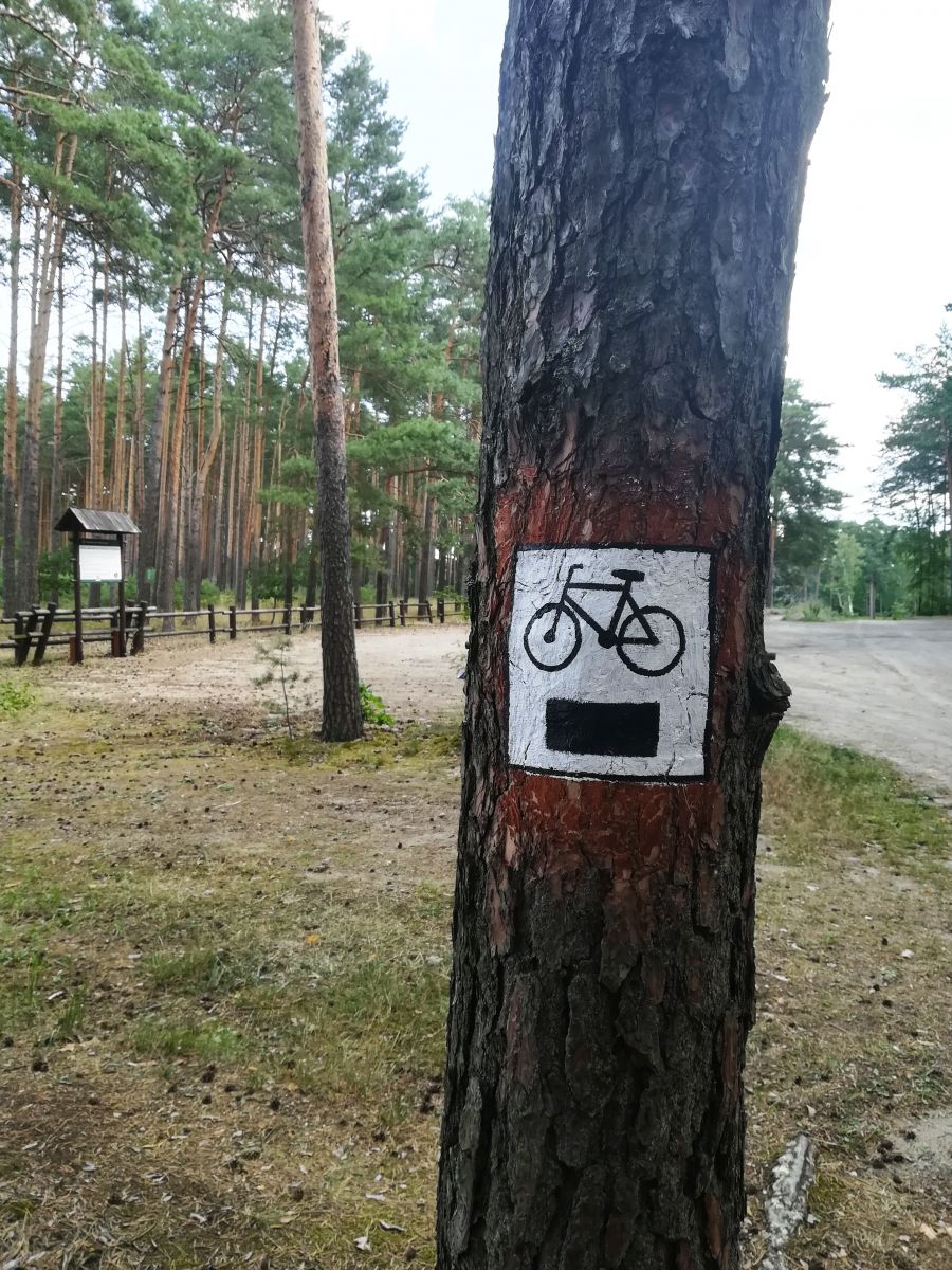 oznakowanie szklakó rowerowych PTTK
