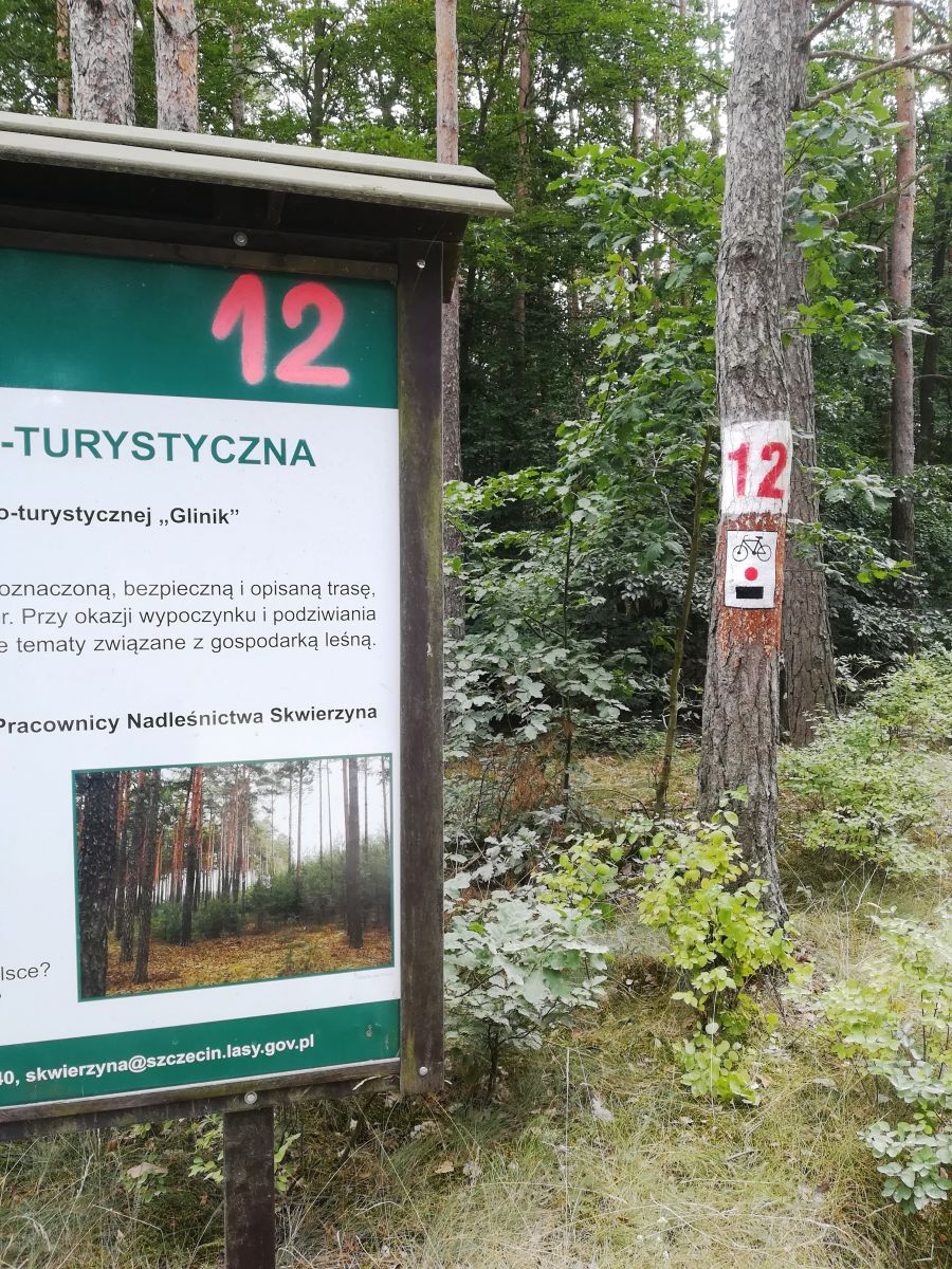 oznakowanie szlaków turystycznych PTTK