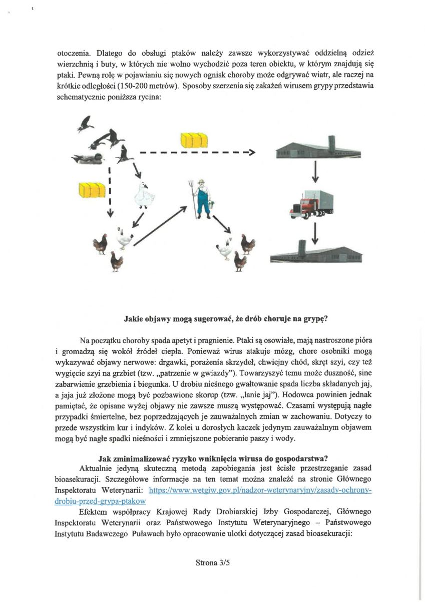 grypa ptaków informacje ogolne