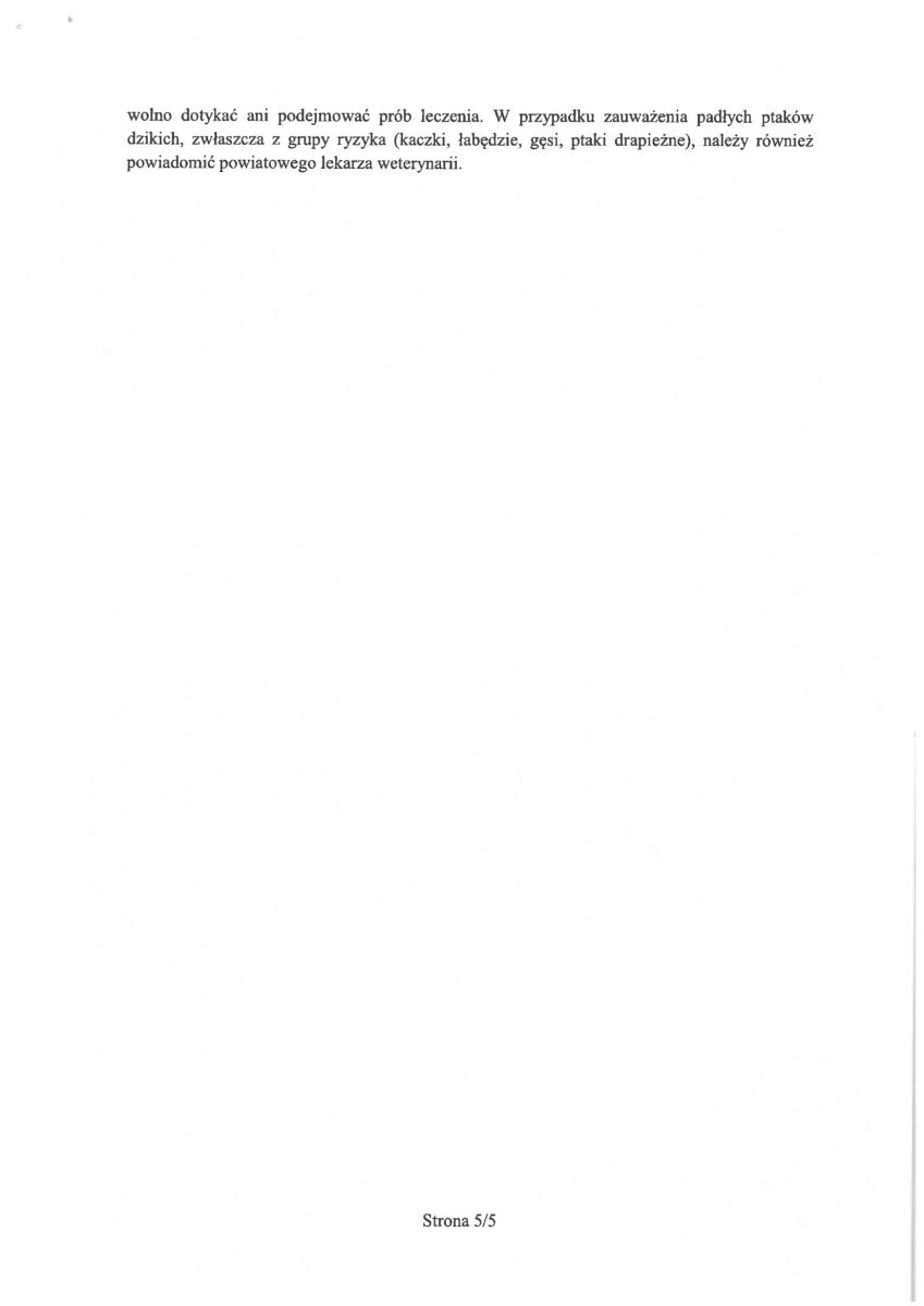 grypa ptaków informacje ogolne