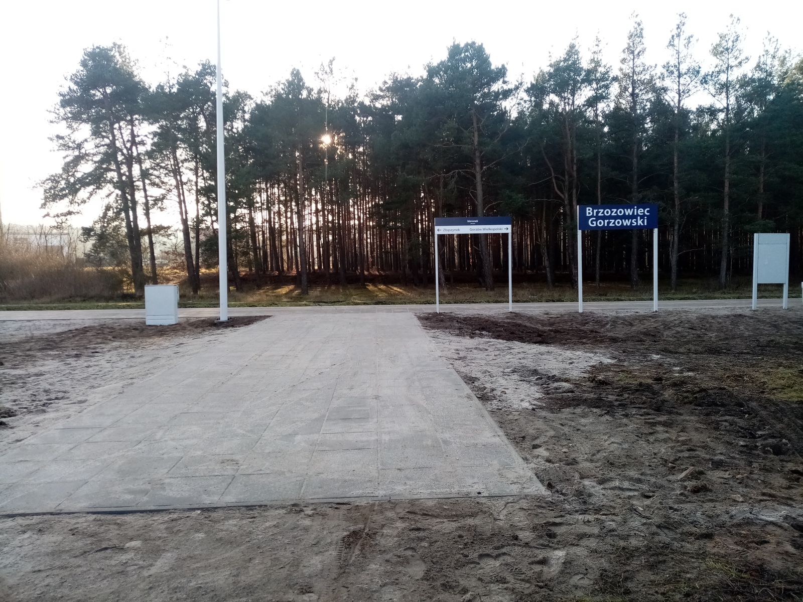 peron brzozwiec