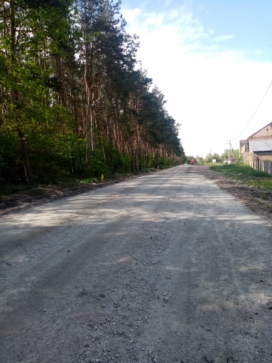 ulim bursztynowa