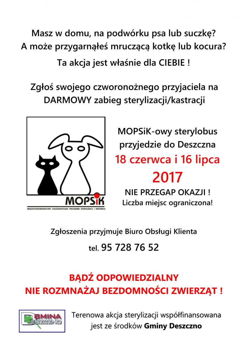 plakat mopsik